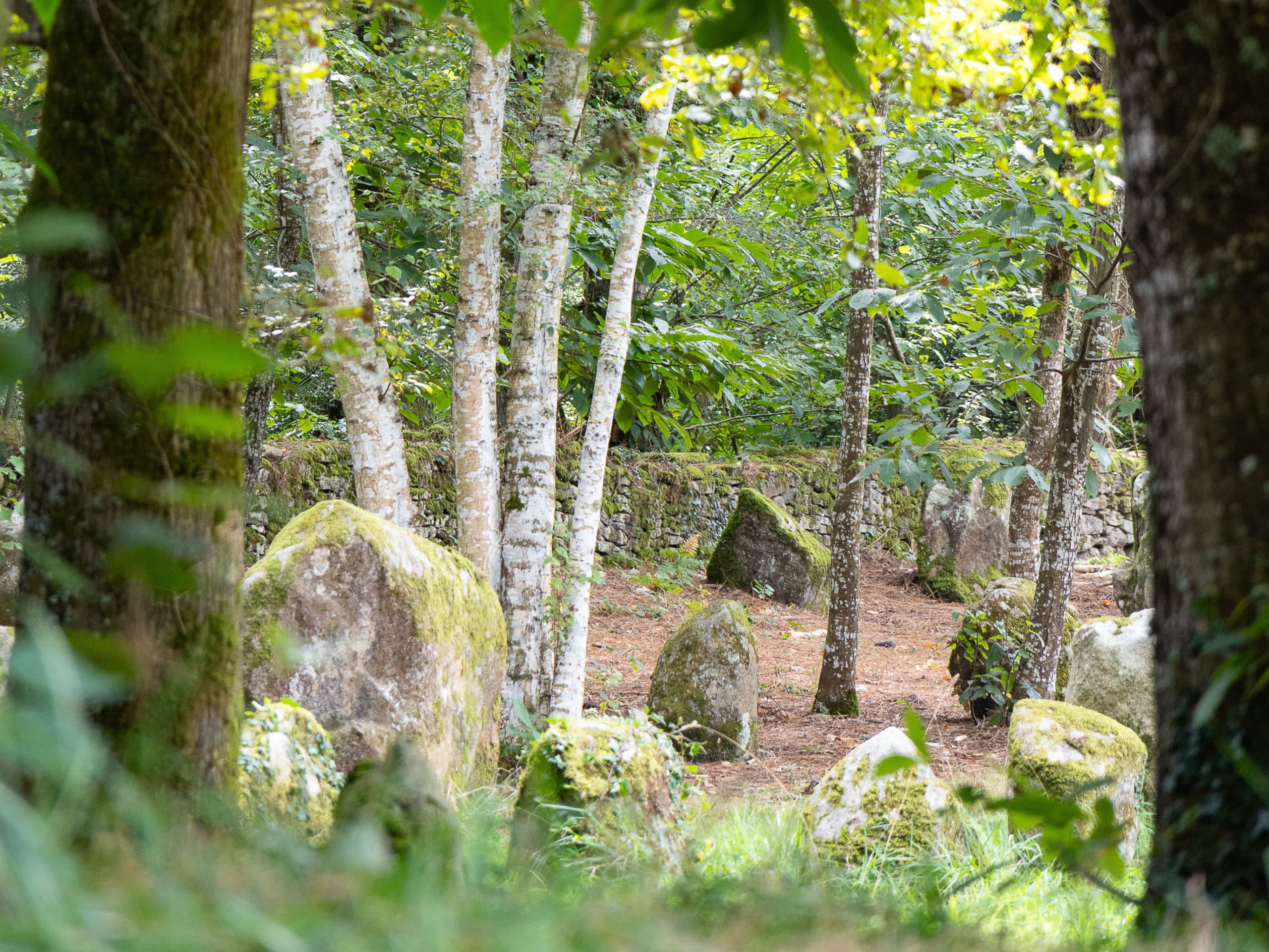 Menhir proche de carnac